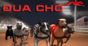 Cách Chơi Game Nhanh Đua Chó Tại SV388: Bí Kíp Cược Thắng Dễ Dàng